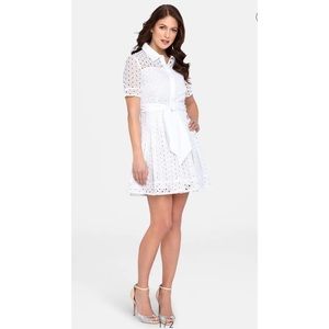 Catherine Malandrino Franny Eyelet Shirtdress 12